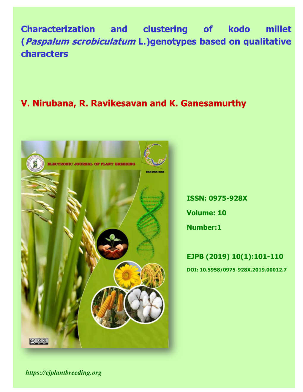 Characterization and Clustering of Kodo Millet (Paspalum Scrobiculatum L.) Genotypes Based on Qualitative Characters