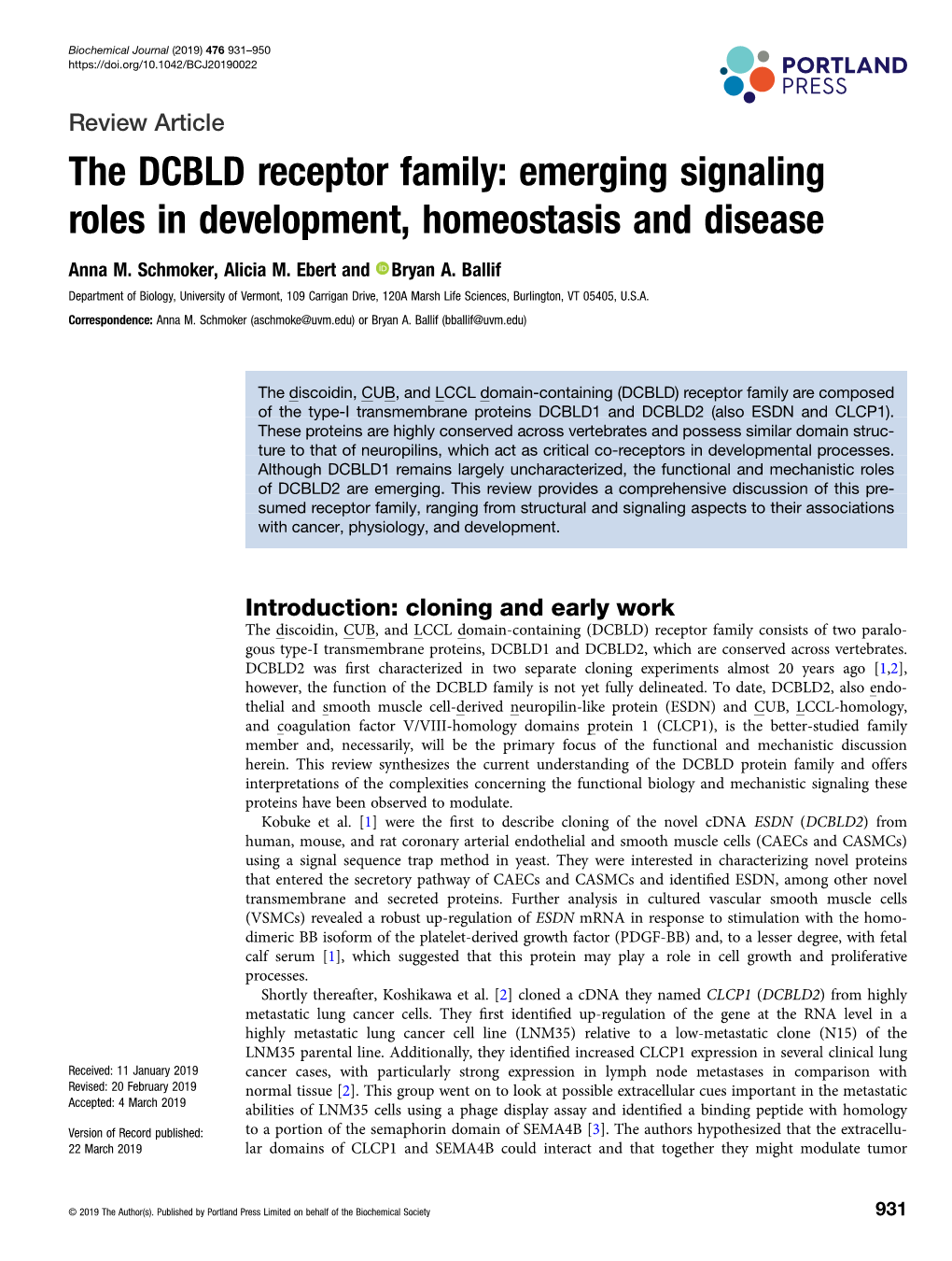 The DCBLD Receptor Family: Emerging Signaling Roles in Development, Homeostasis and Disease