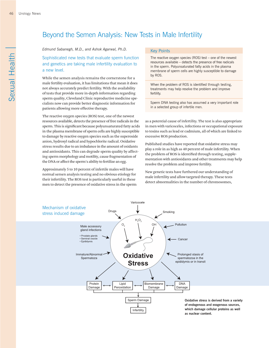 Beyond the Semen Analysis: New Tests in Male Infertility