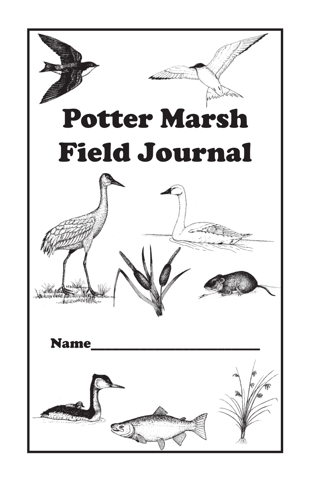 Potter Marsh Field Journal