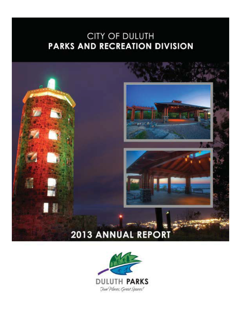 2013 Annual Report