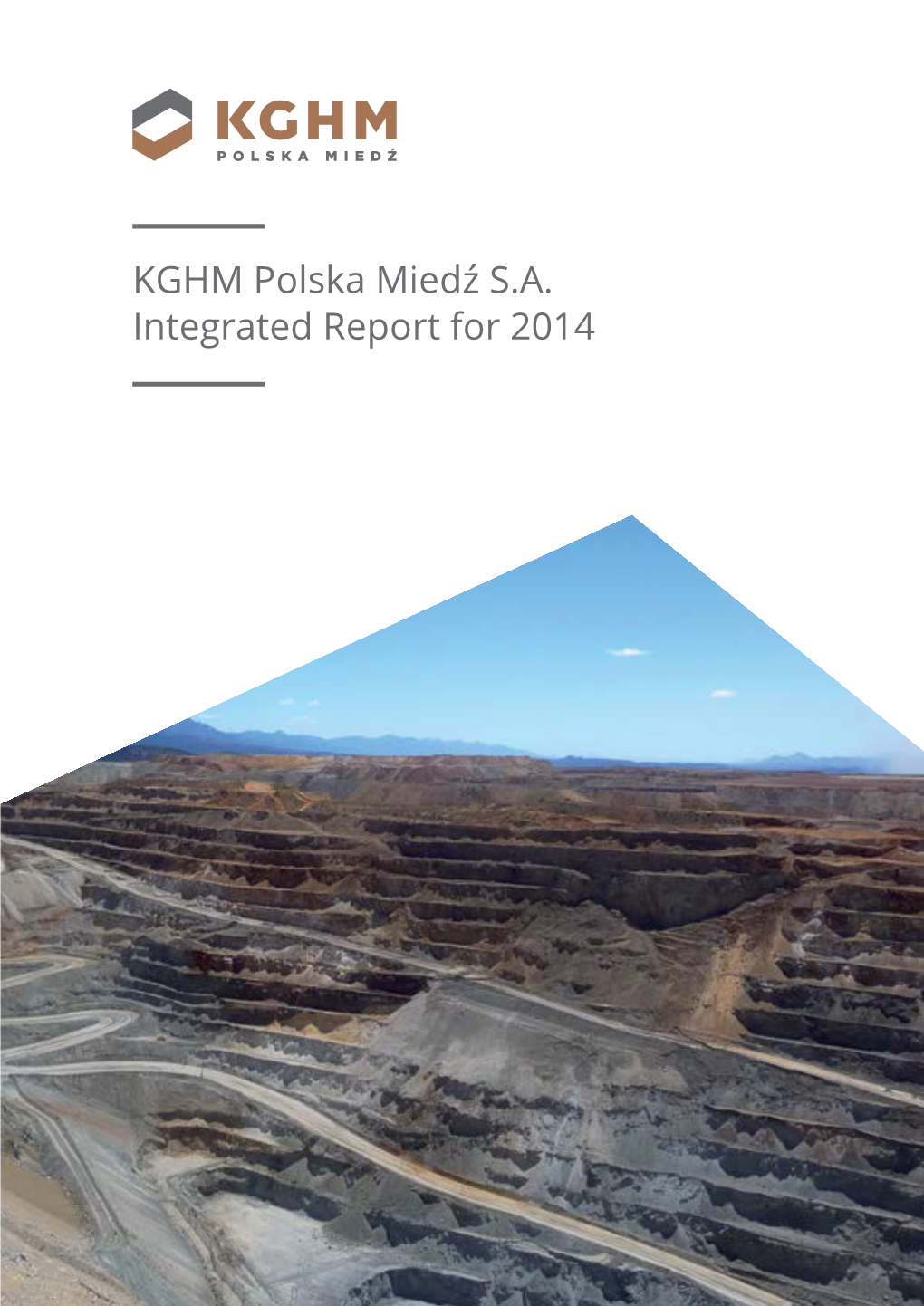 KGHM Polska Miedź S.A. Integrated Report for 2014 5
