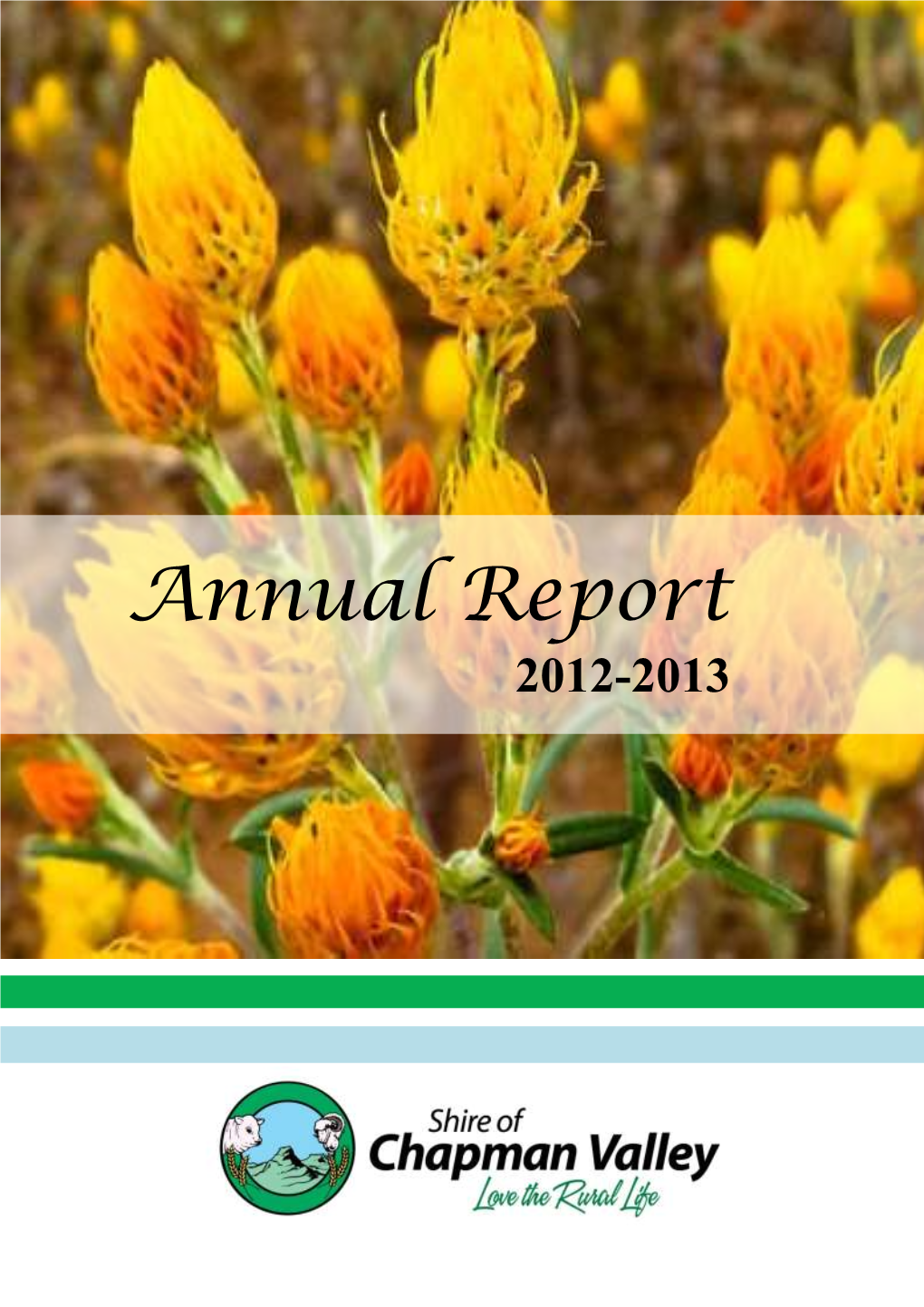 Annual Report 2012-2013