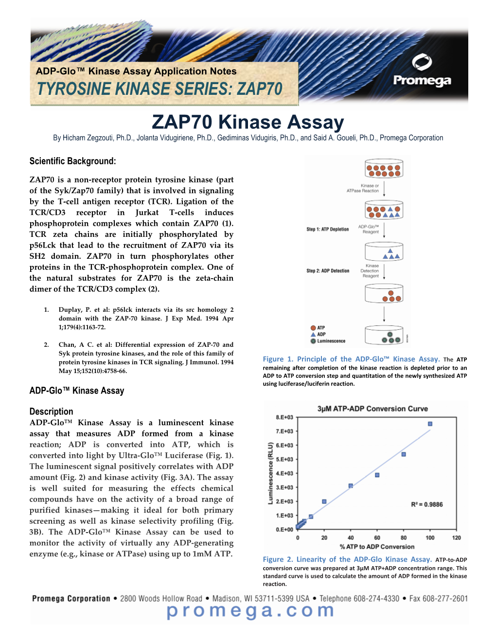 ZAP70 Kinase Assay by Hicham Zegzouti, Ph.D., Jolanta Vidugiriene, Ph.D., Gediminas Vidugiris, Ph.D., and Said A
