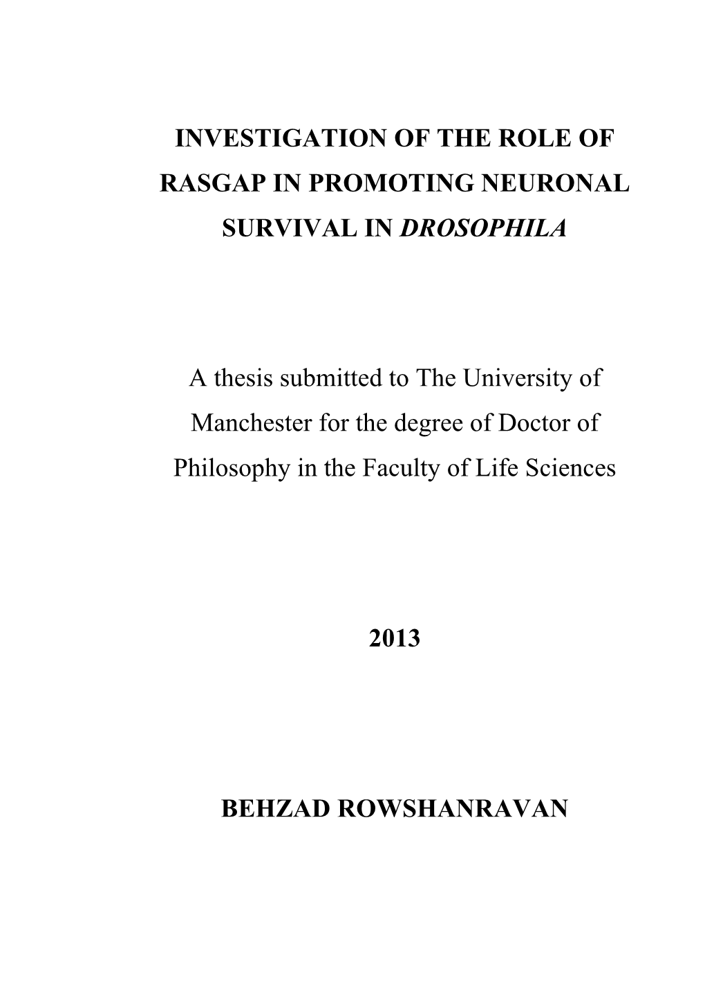 Investigation of the Role of Rasgap in Promoting Neuronal Survival in Drosophila