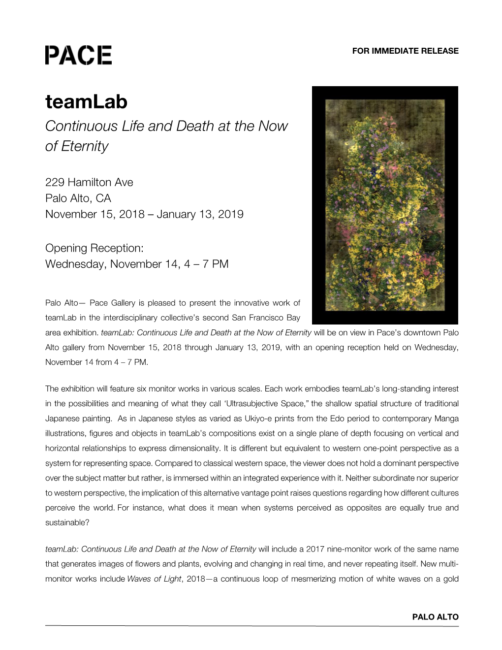 Teamlab Continuous Life and Death at the Now of Eternity