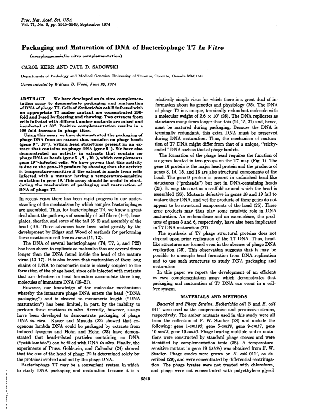 Packaging and Maturation of DNA of Bacteriophage T7 in Vitro (Morphogenesis/In Vitro Complementation) CAROL KERR and PAUL D