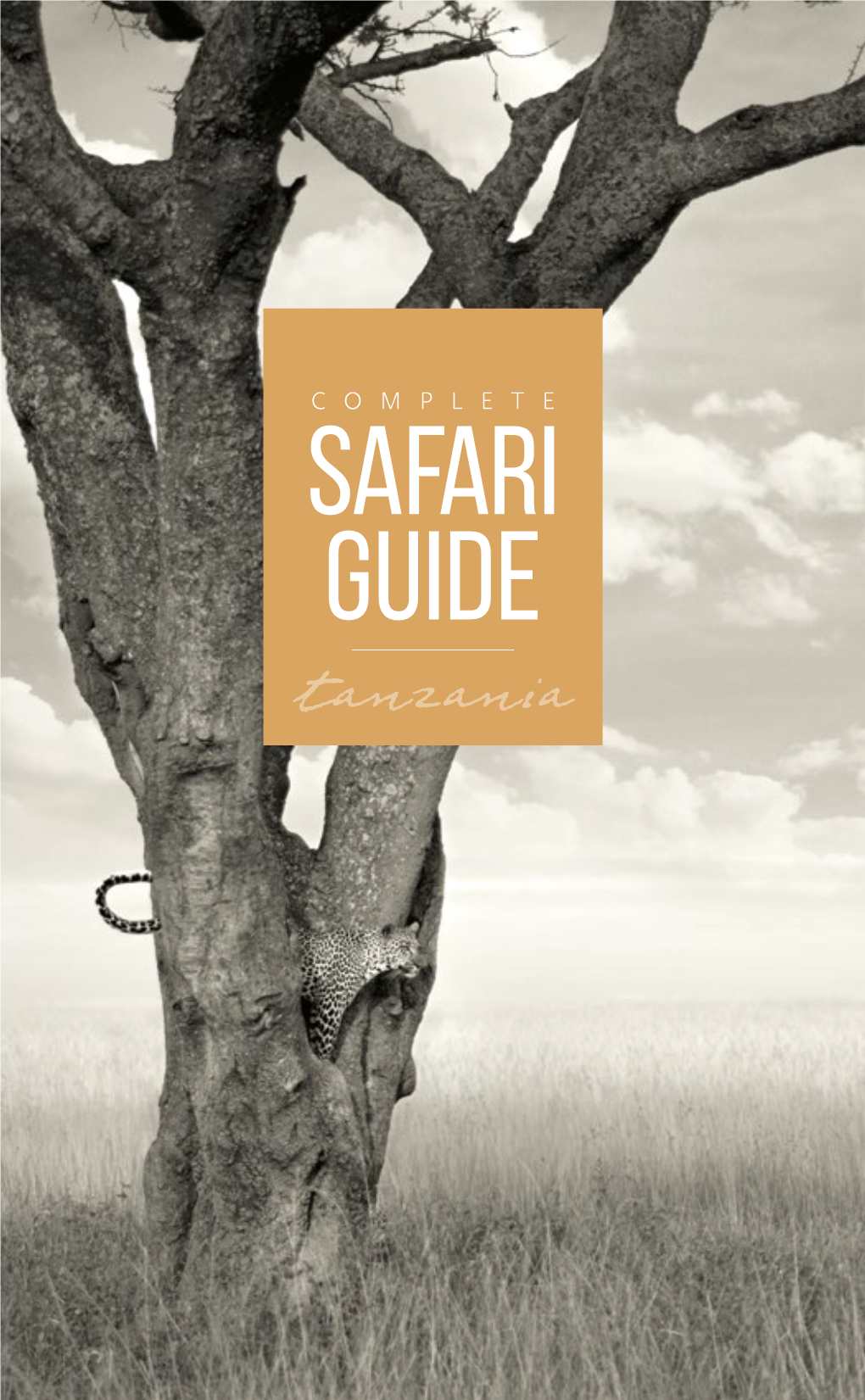 SAFARI GUIDE Tanzania IS an a Safariexperience YOU’LL NEVER FORGET