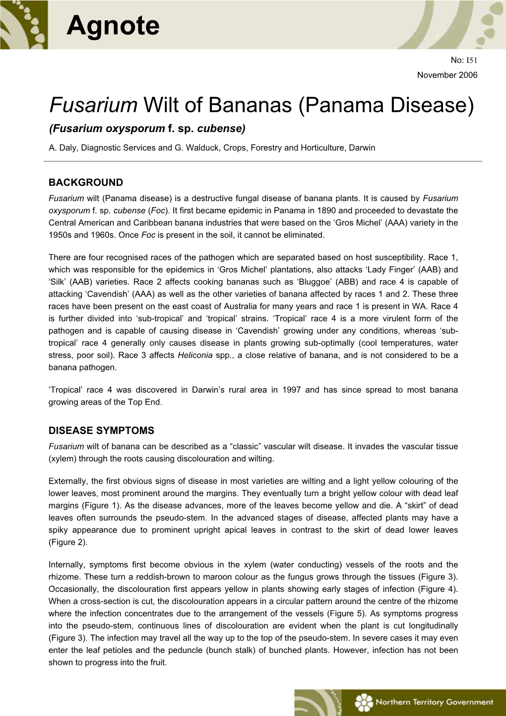 Fusarium Wilt of Bananas (Panama Disease) (Fusarium Oxysporum F