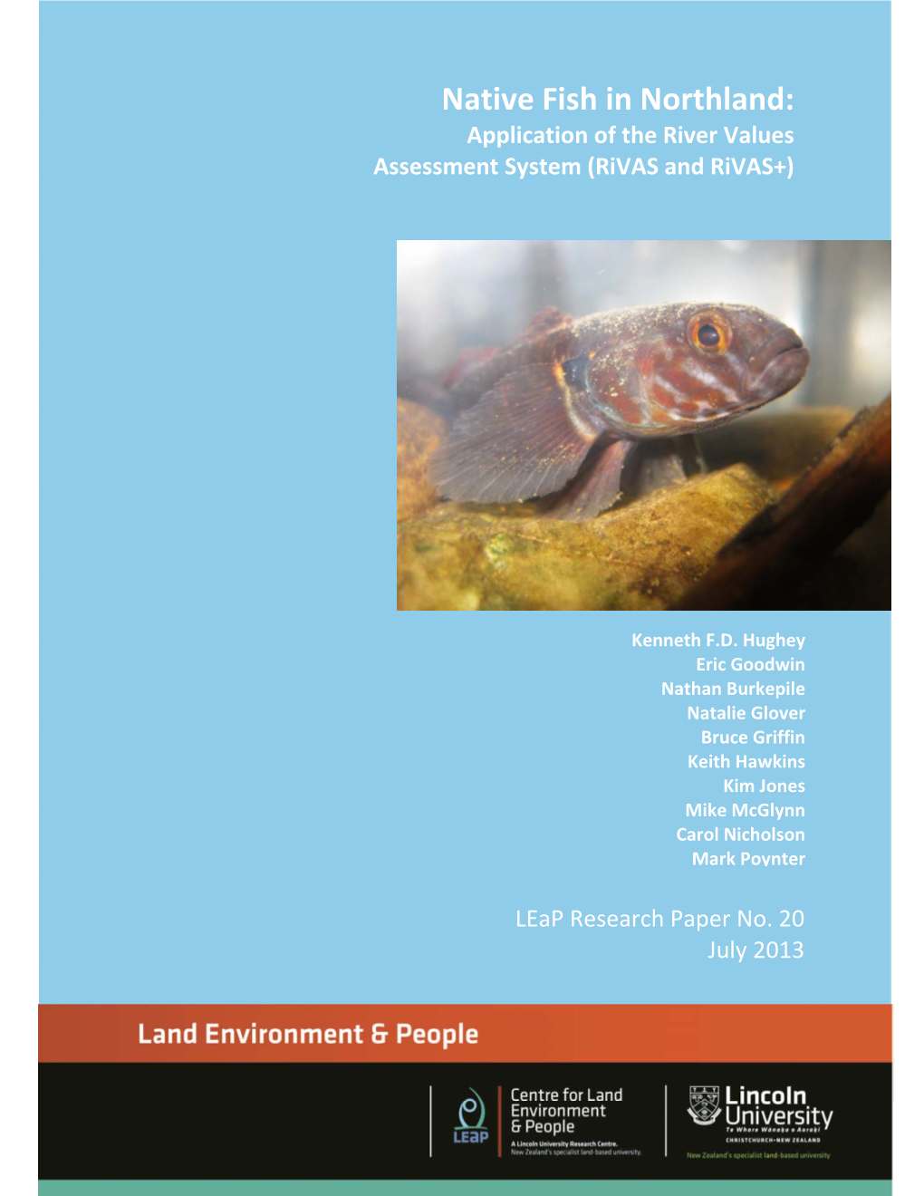 Native Fish in Northland: Application of the River Values