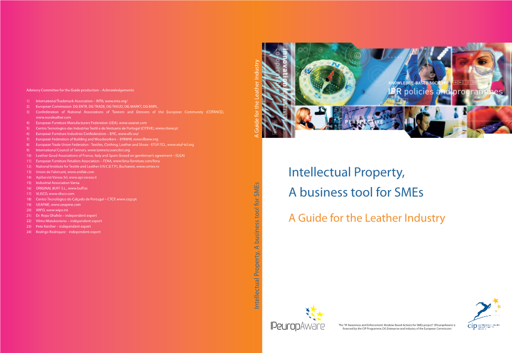 Intellectual Property, a Business Tool for Smes for a Business Tool Intellectual Property