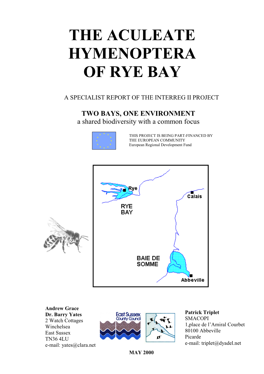 The Aculeate Hymenoptera of Rye Bay