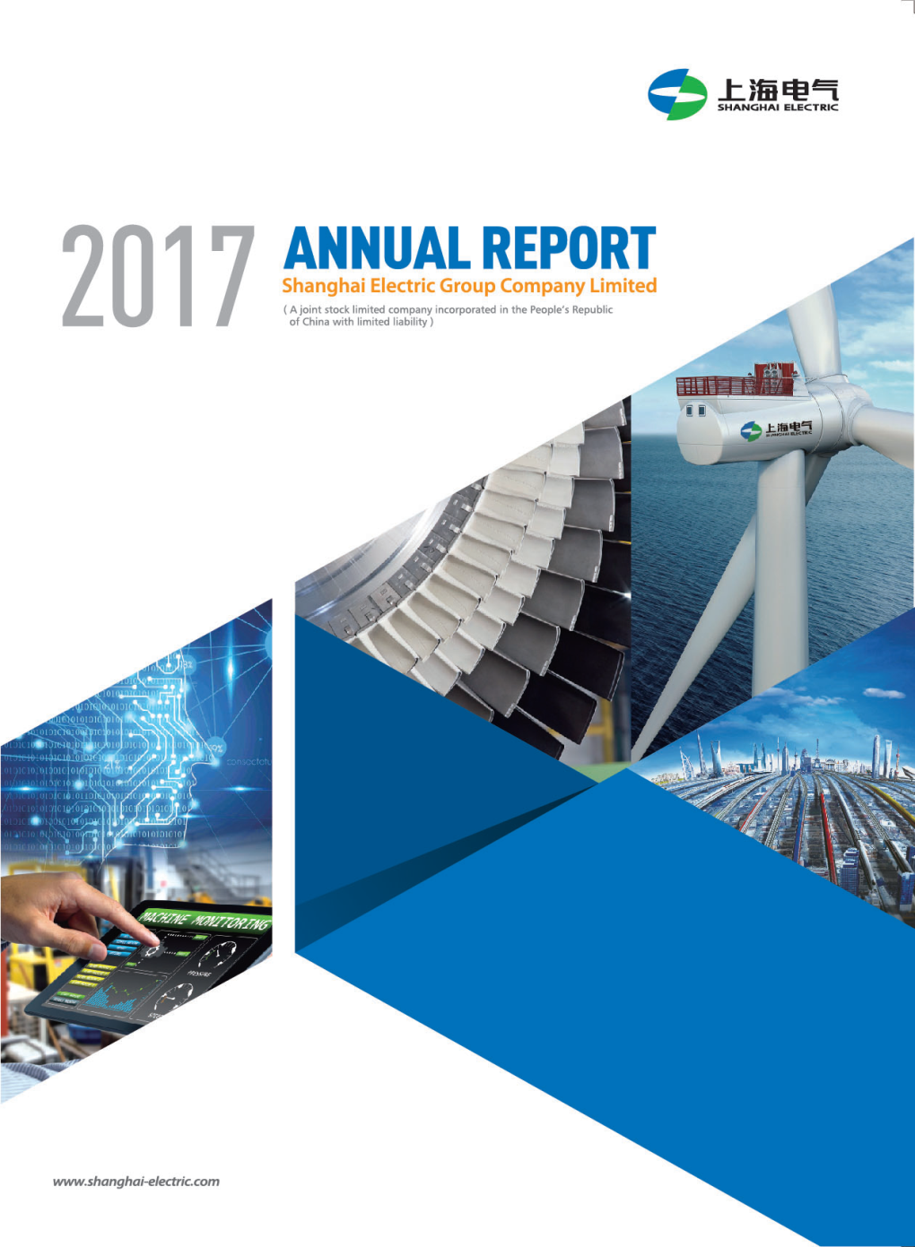 Annual Report 2017 1