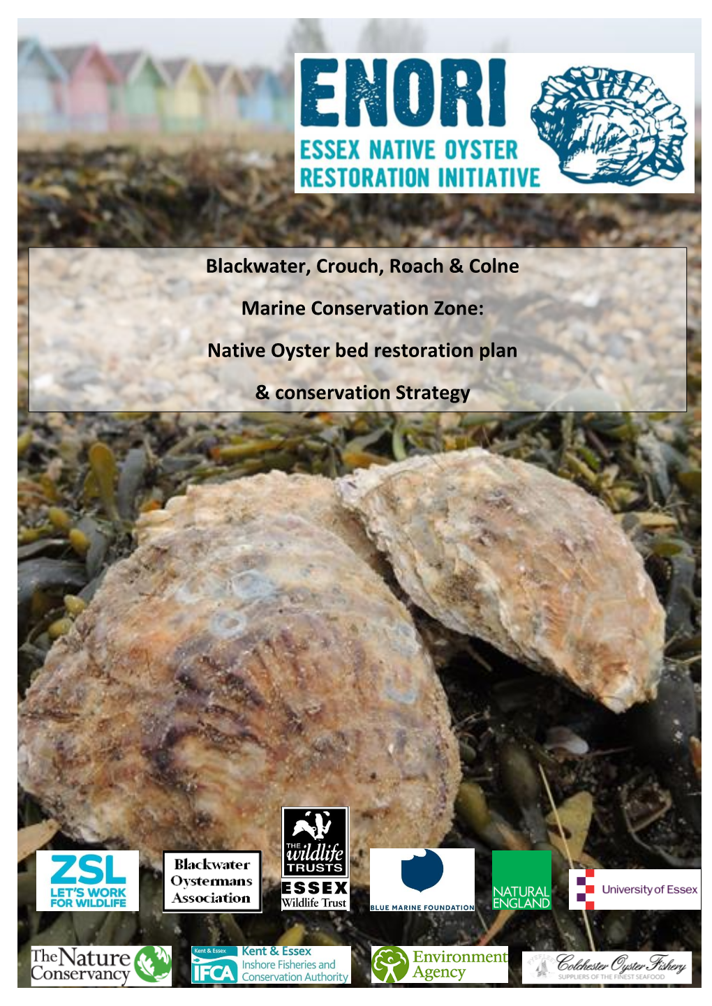 Blackwater, Crouch, Roach & Colne Marine Conservation Zone: Native Oyster Bed Restoration Plan & Conservation Strategy