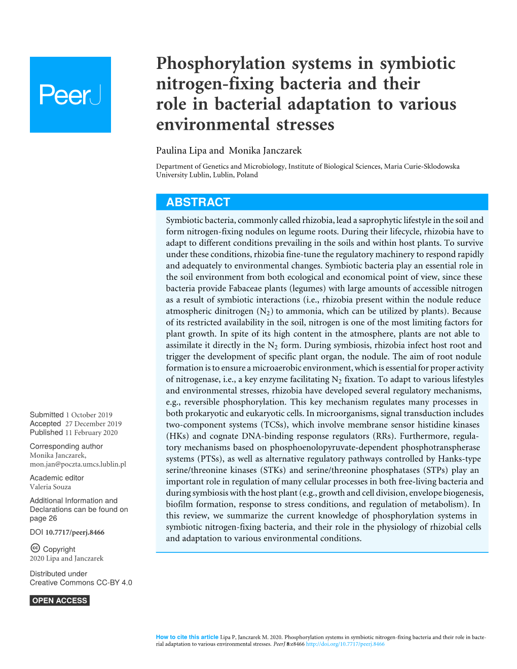 Phosphorylation Systems in Symbiotic Nitrogen-Fixing Bacteria and Their Role in Bacterial Adaptation to Various Environmental Stresses