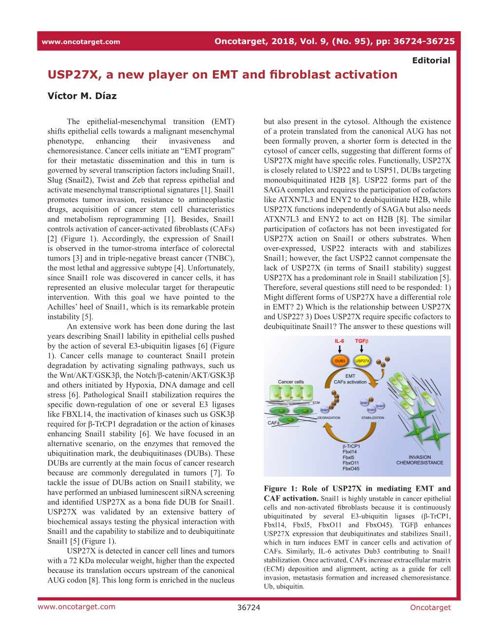 USP27X, a New Player on EMT and Fibroblast Activation