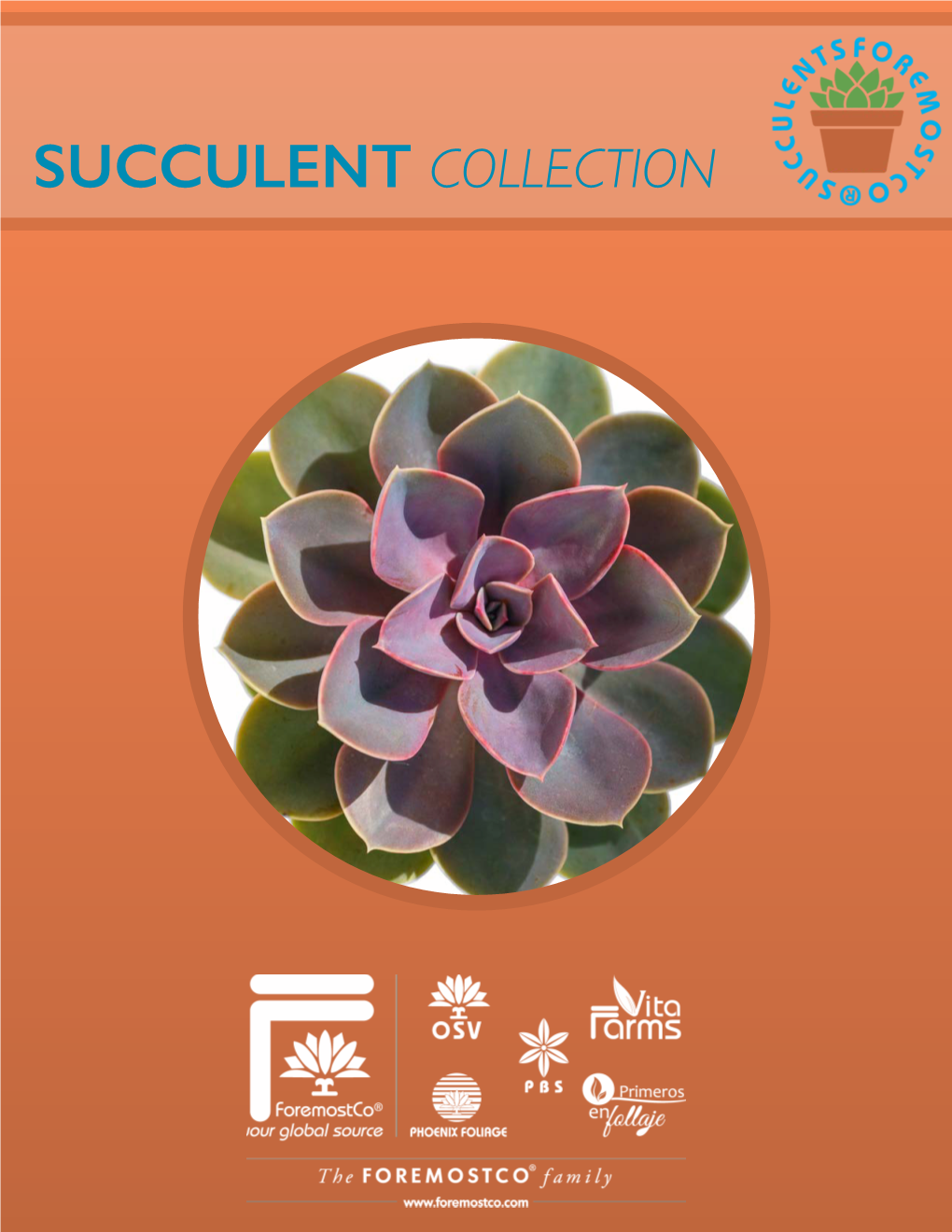Succulents Products Info Sheet
