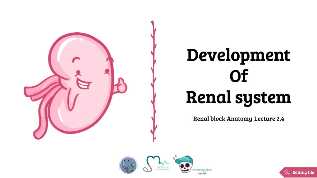 Development of Renal System