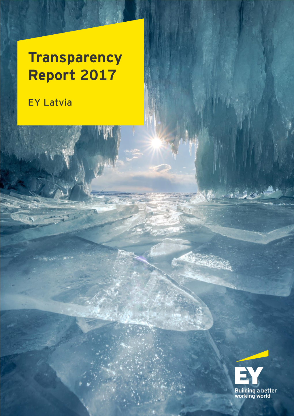 Transparency Report 2017