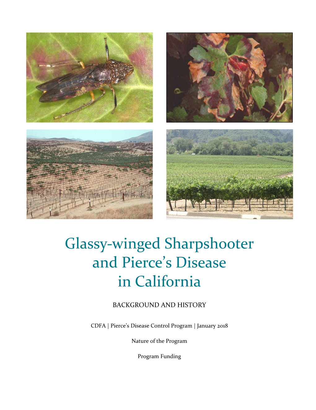 Glassy-Winged Sharpshooter and Pierce's Disease in California