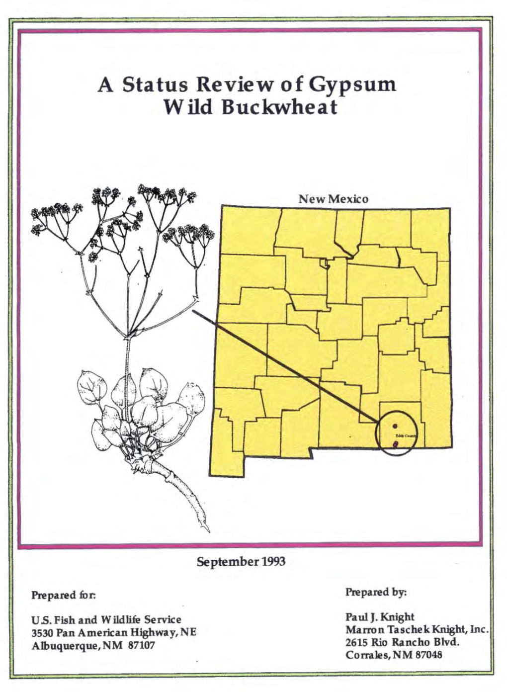 A Status Review of Gypsum Wild Buckwheat