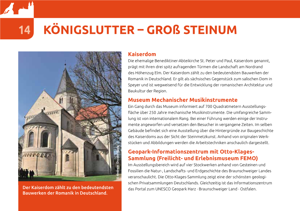 Königslutter – Groß Steinum 14