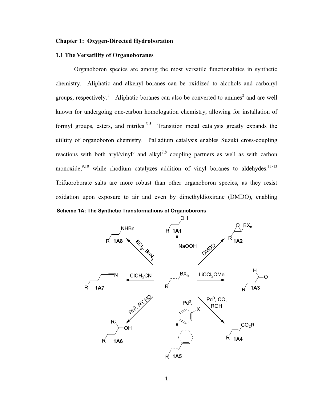 Oxygen-Directed Hydroboration 1.1 the Versatility of Organoboranes