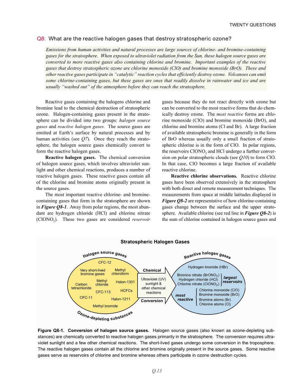 What Are the Reactive Halogen Gases That Destroy Stratospheric Ozone?