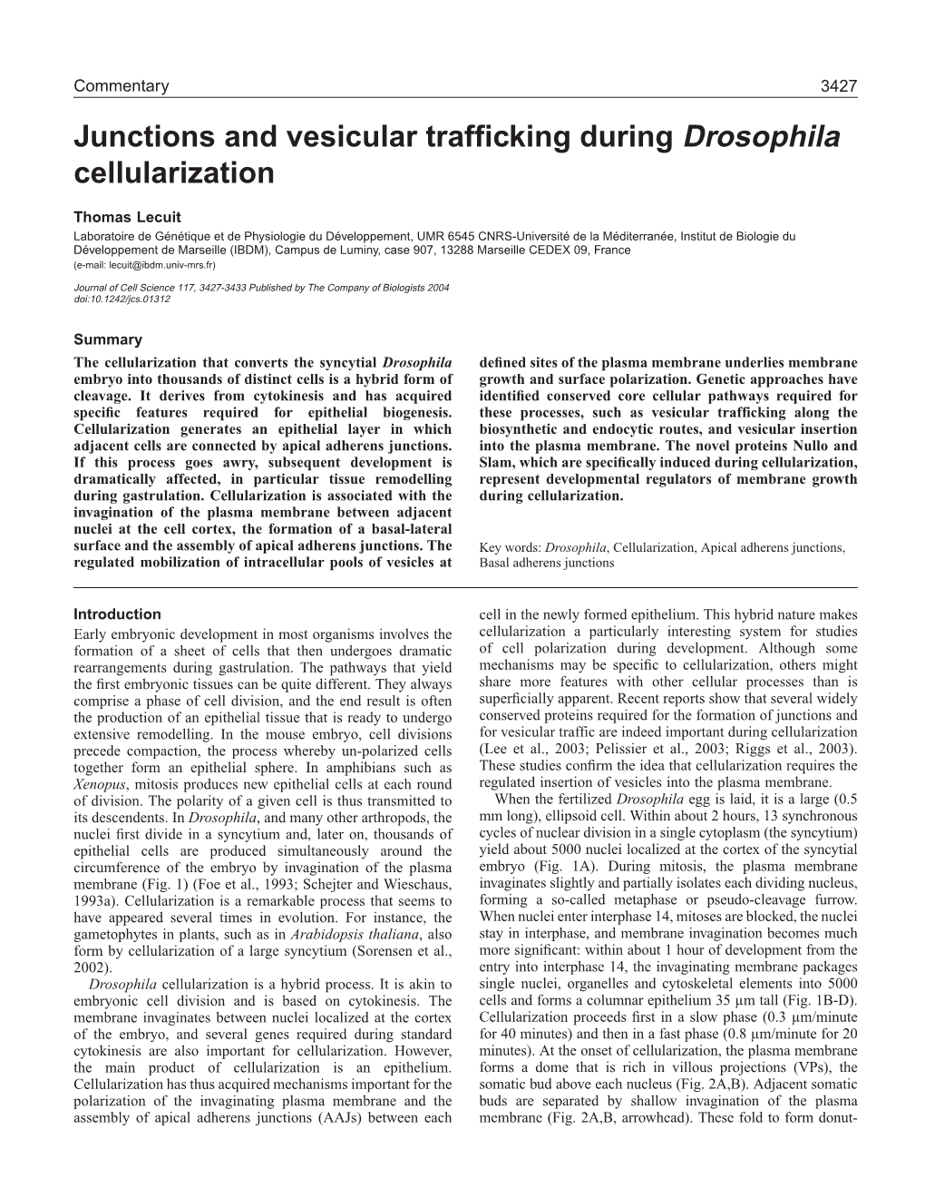 Junctions and Vesicular Trafficking During Drosophila Cellularization