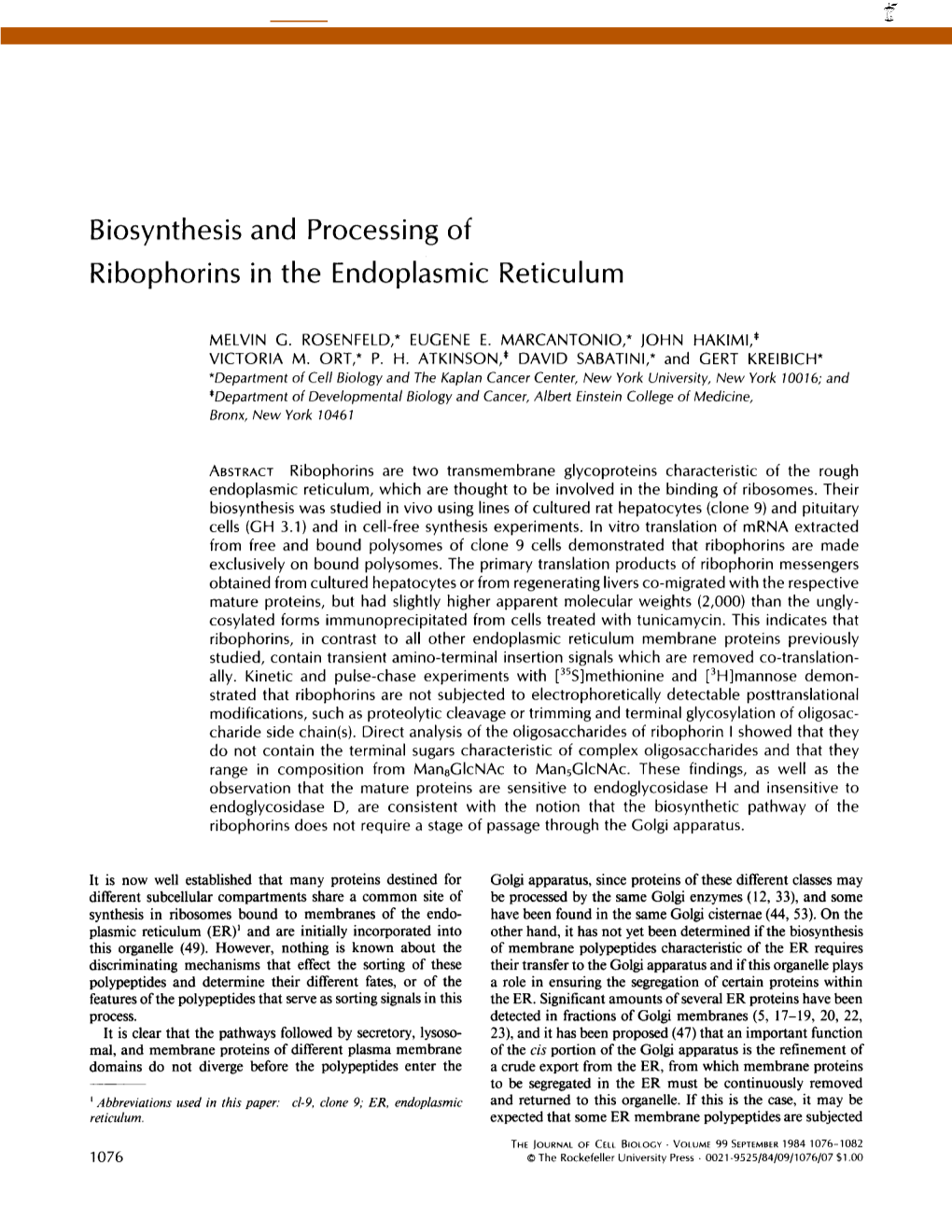 Biosynthesis Ribophorins and Processing of in the Endoplasmic