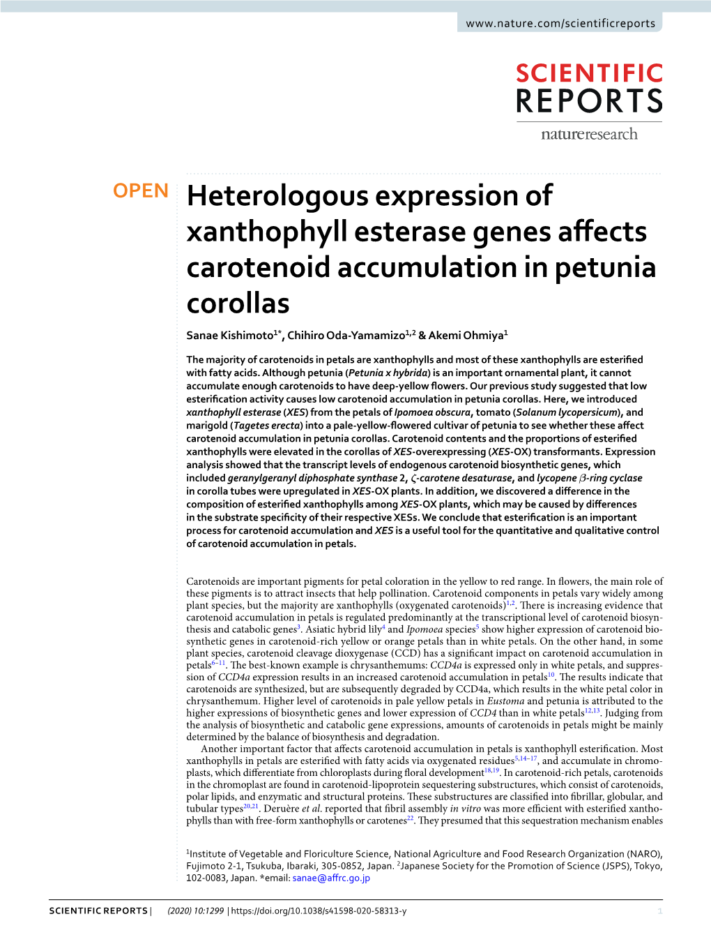 Heterologous Expression of Xanthophyll Esterase Genes Affects