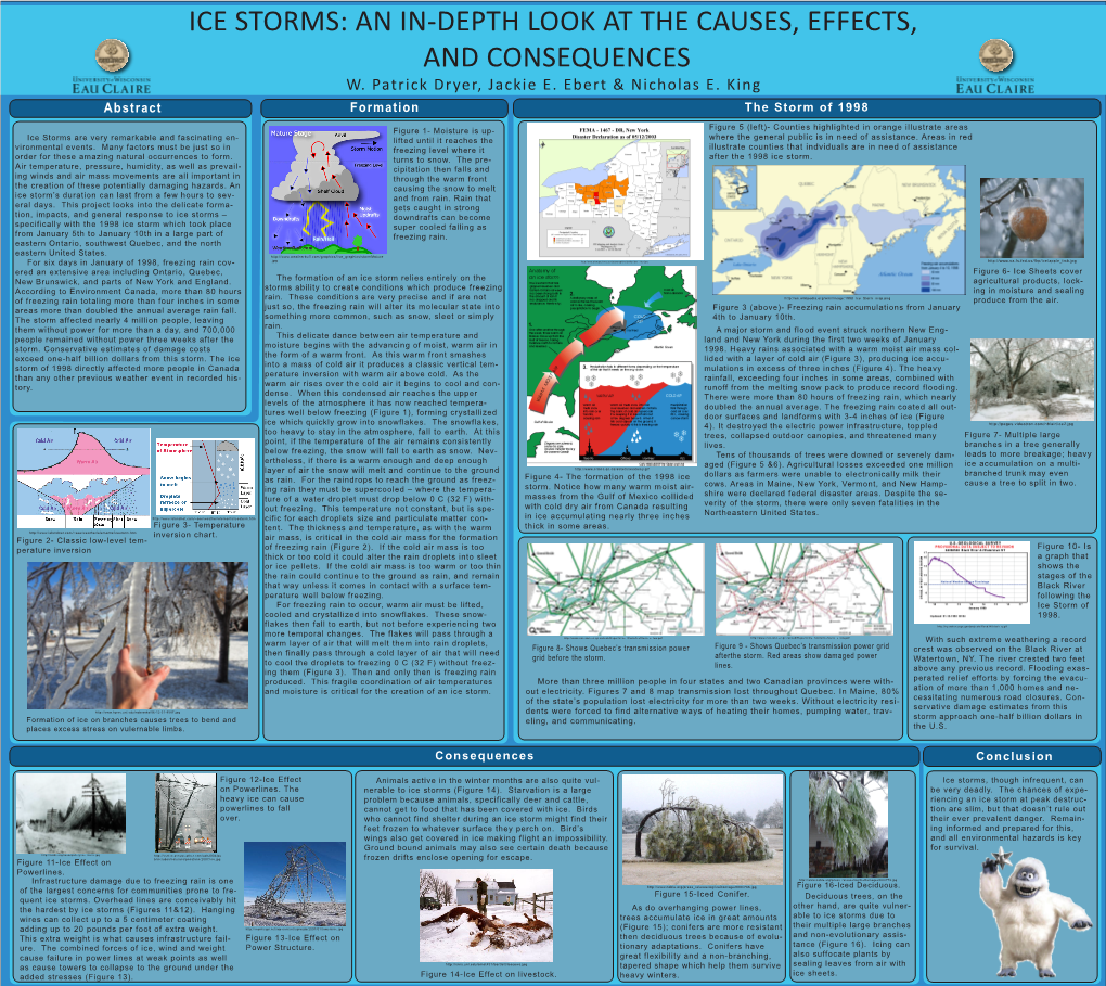 Ice Storms: an In-Depth Look at the Causes, Effects, and Consequences W