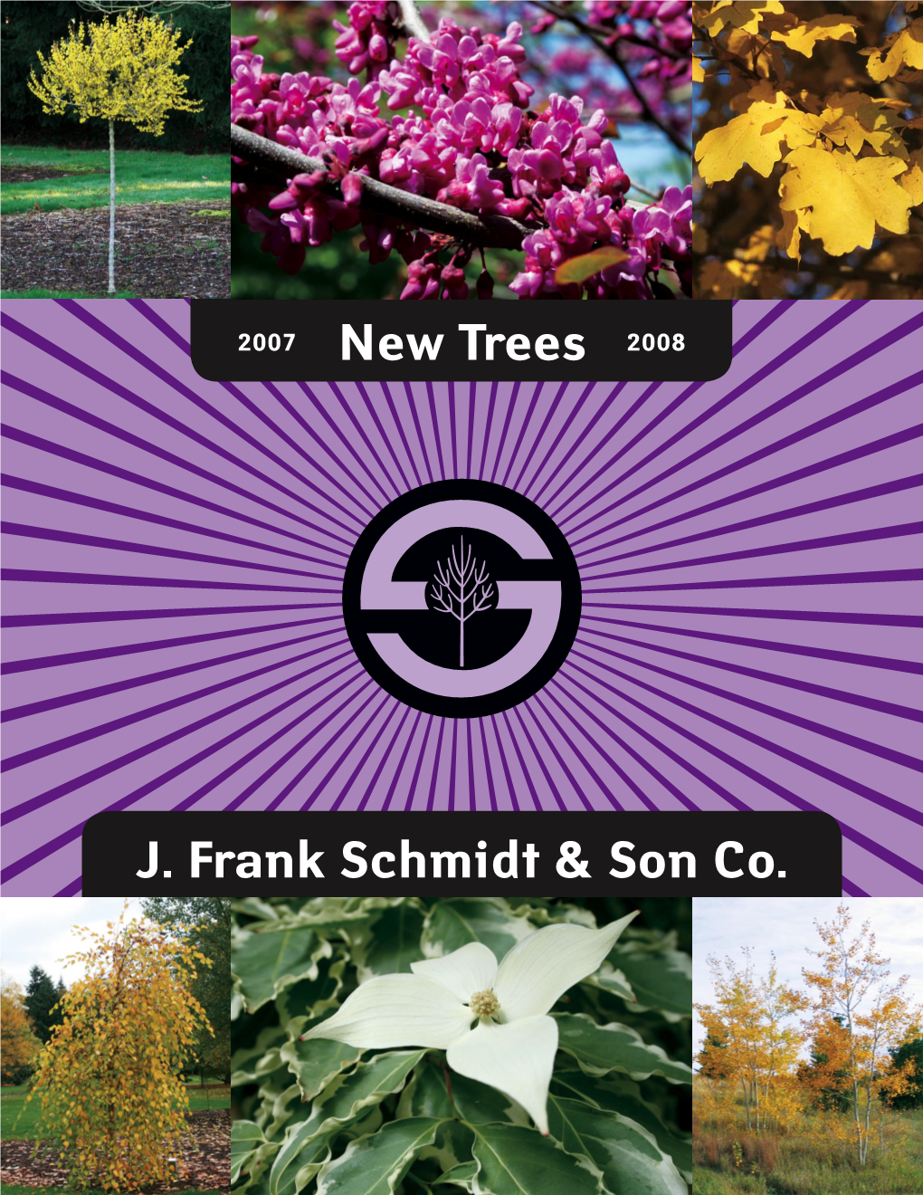 New 2008 Trees Single Page for Pdf.Indd