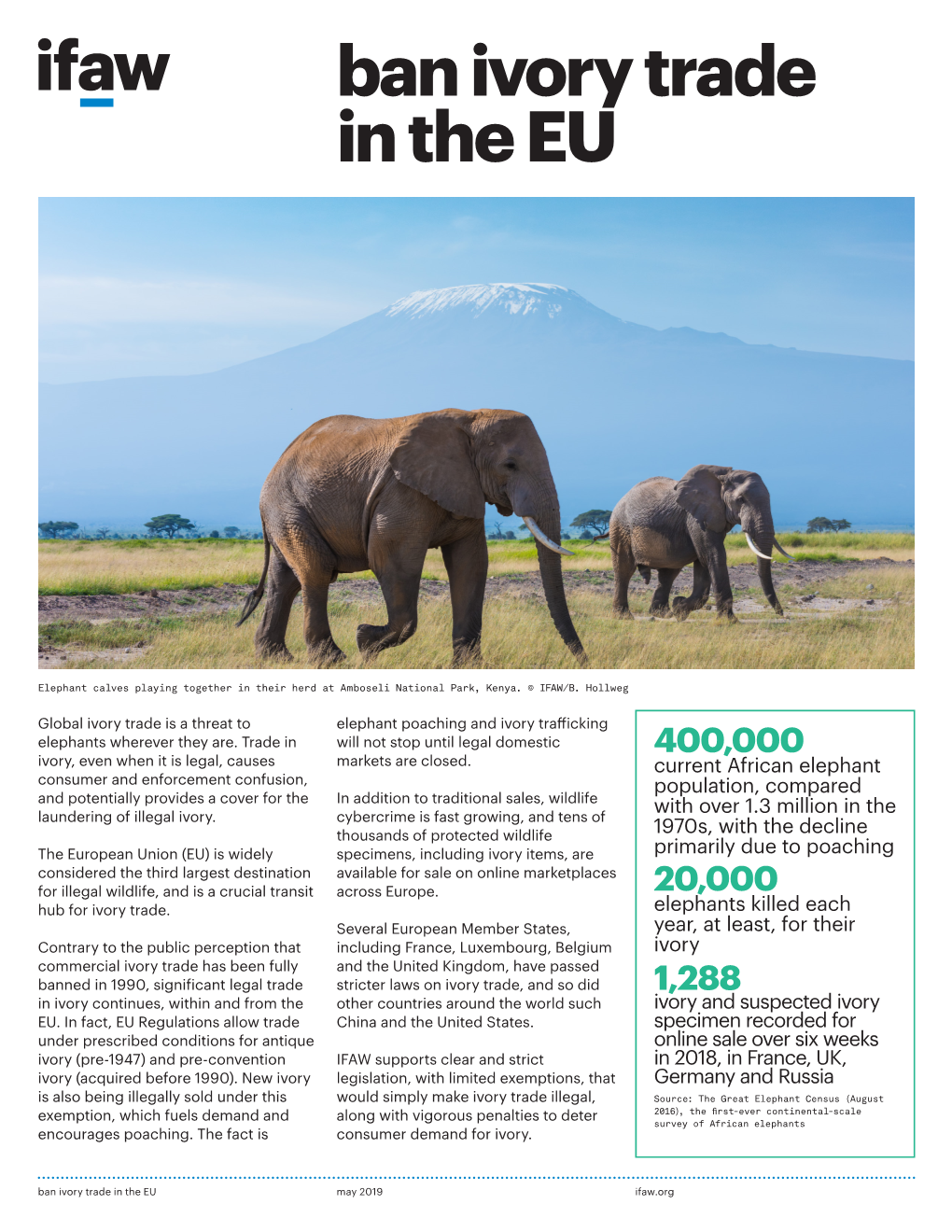 Ban Ivory Trade in the EU