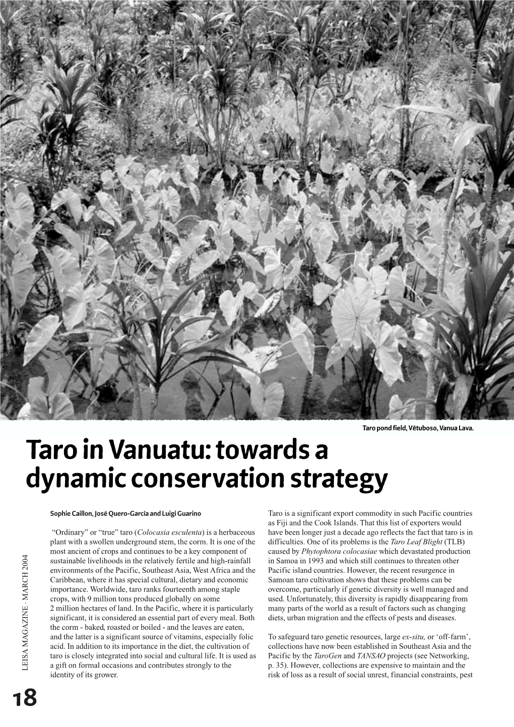 Taro in Vanuatu: Towards a Dynamic Conservation Strategy