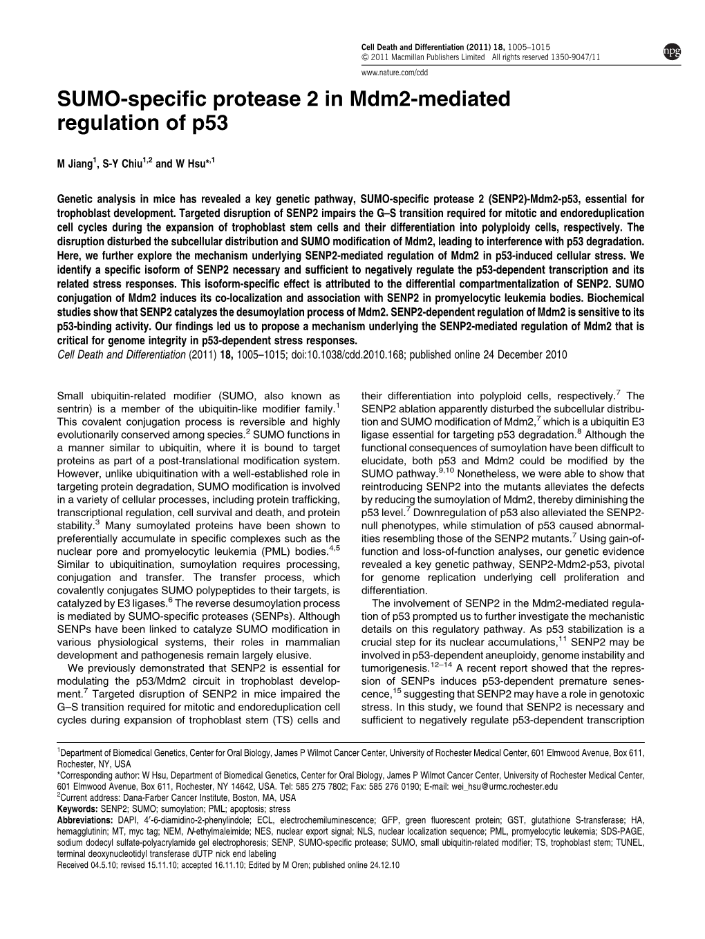 SUMO-Specific Protease 2 in Mdm2-Mediated Regulation Of