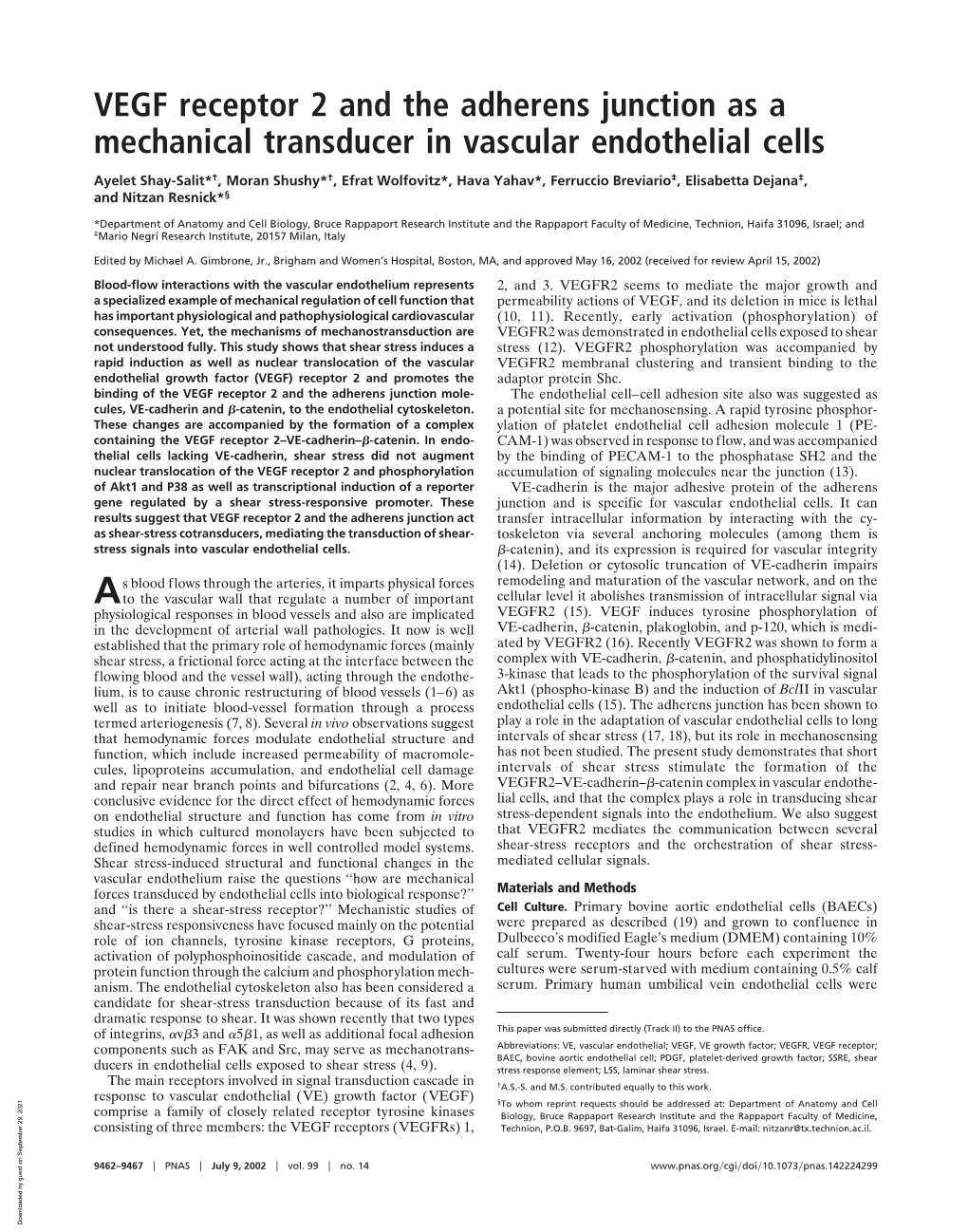 VEGF Receptor 2 and the Adherens Junction As a Mechanical Transducer in Vascular Endothelial Cells