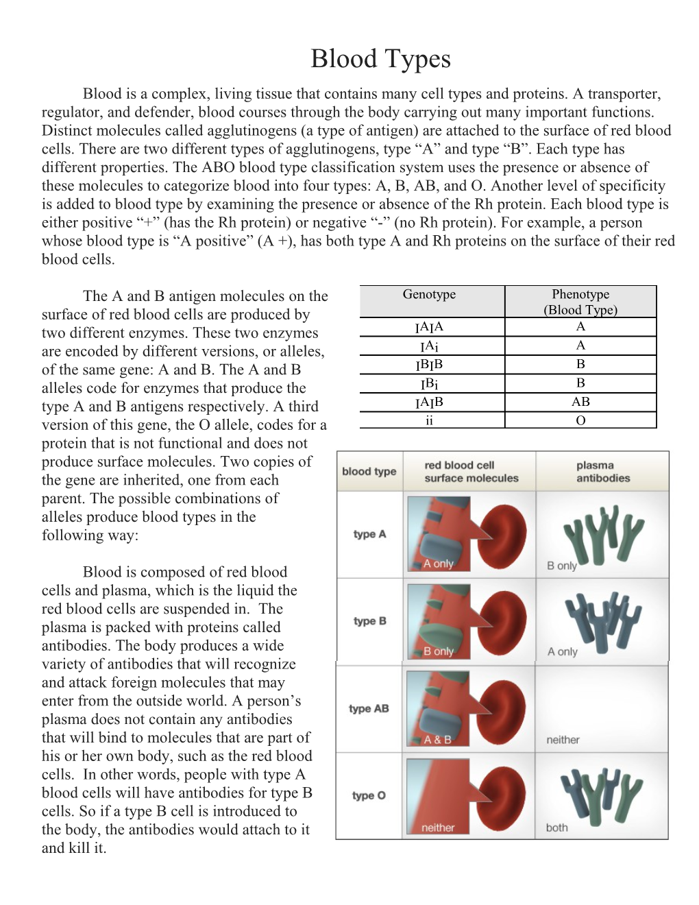 Blood Is a Complex, Living Tissue That Contains Many Cell Types and Proteins