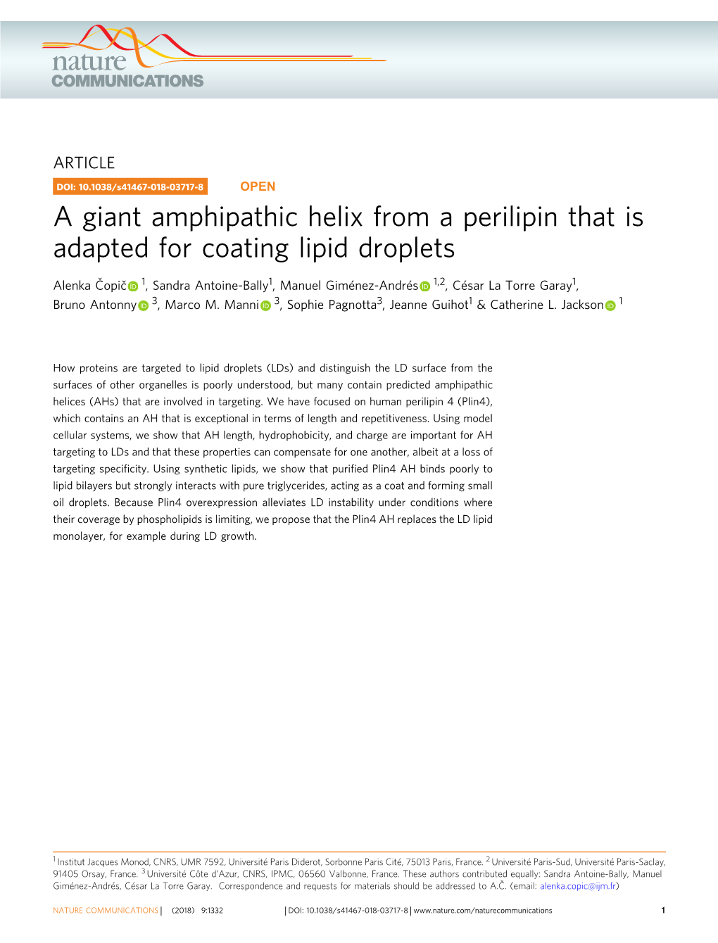 A Giant Amphipathic Helix from a Perilipin That Is Adapted for Coating Lipid Droplets