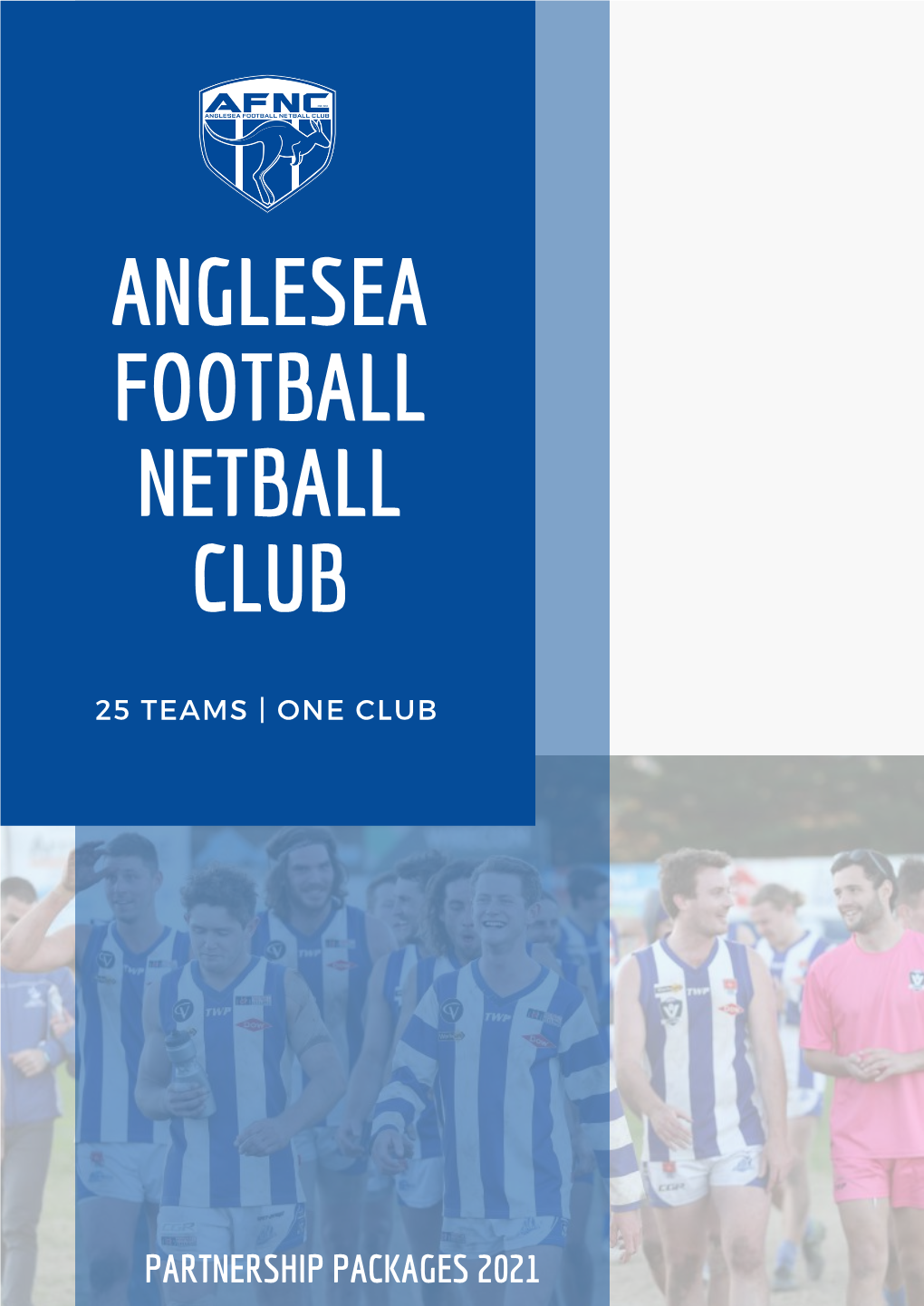 Angleseafnc 2021 Partnership Packages
