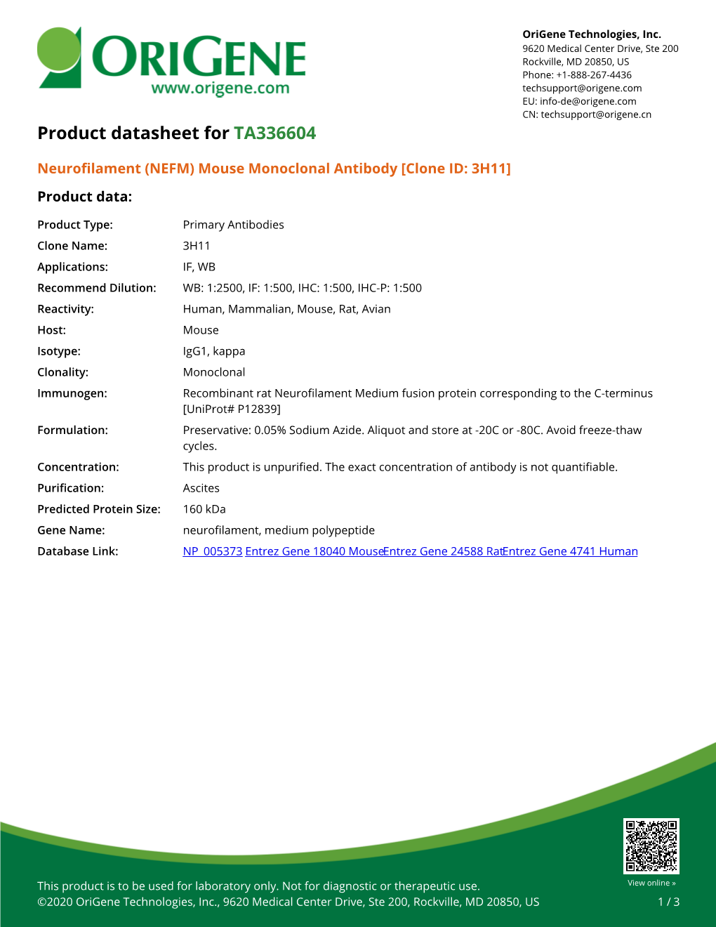 Neurofilament (NEFM) Mouse Monoclonal Antibody [Clone ID: 3H11] Product Data