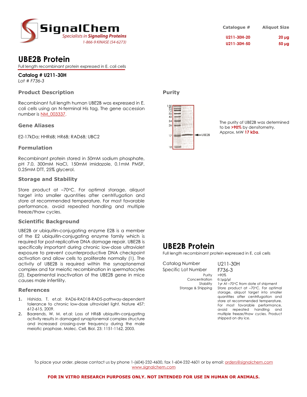 UBE2B Protein Full Length Recombinant Protein Expressed in E