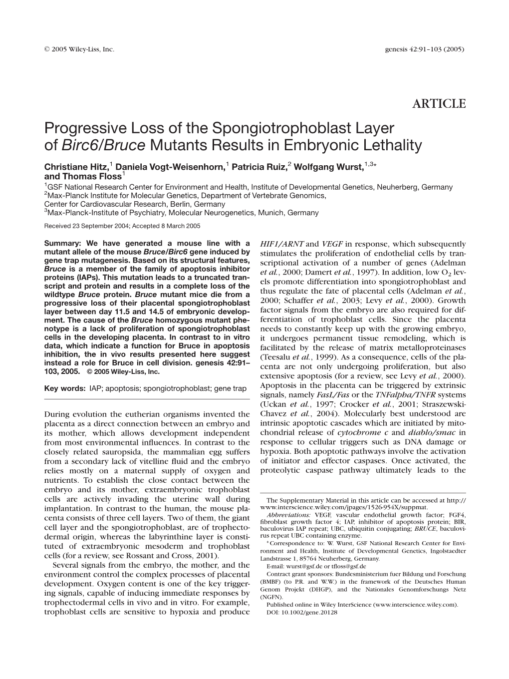 Progressive Loss of the Spongiotrophoblast Layer of Birc6/Bruce Mutants Results in Embryonic Lethality