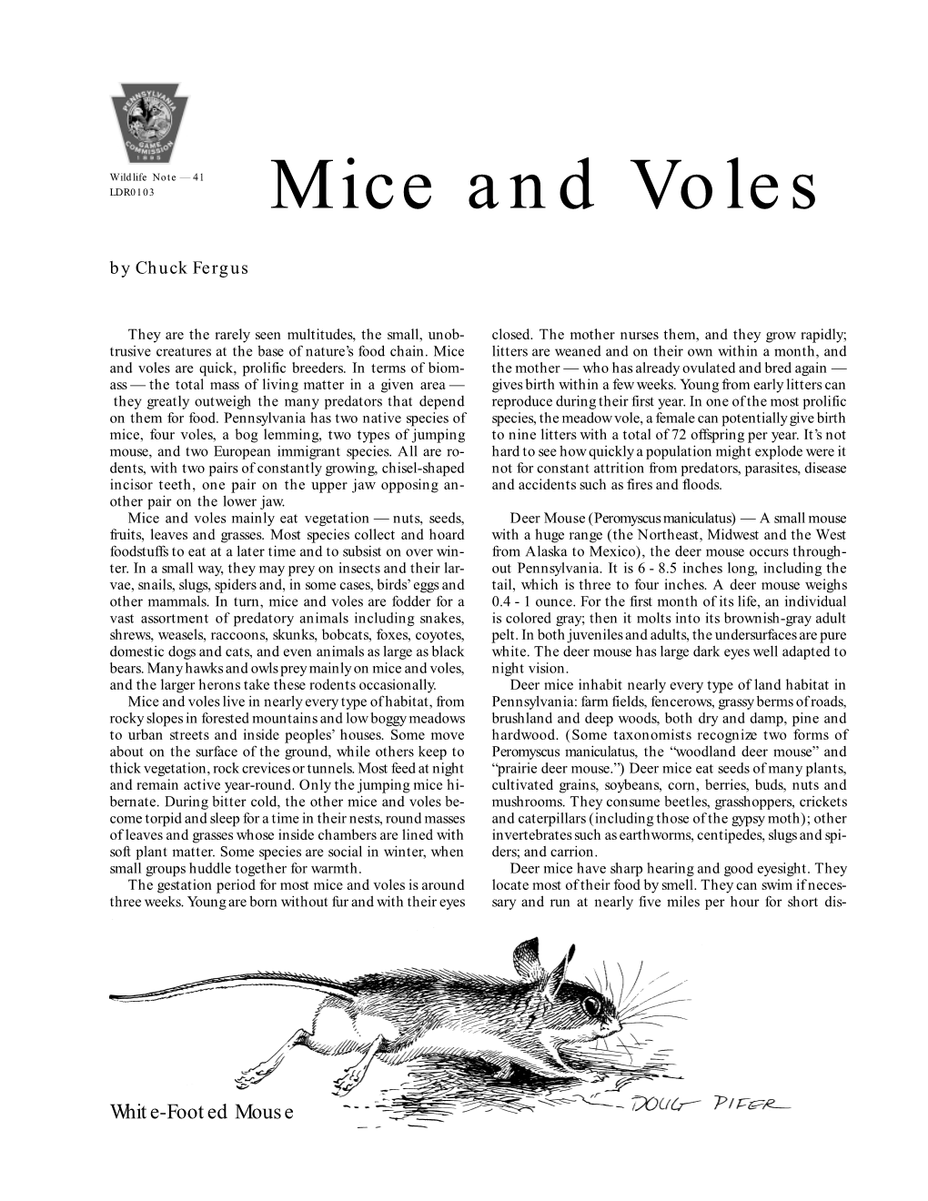 Mice and Voles by Chuck Fergus