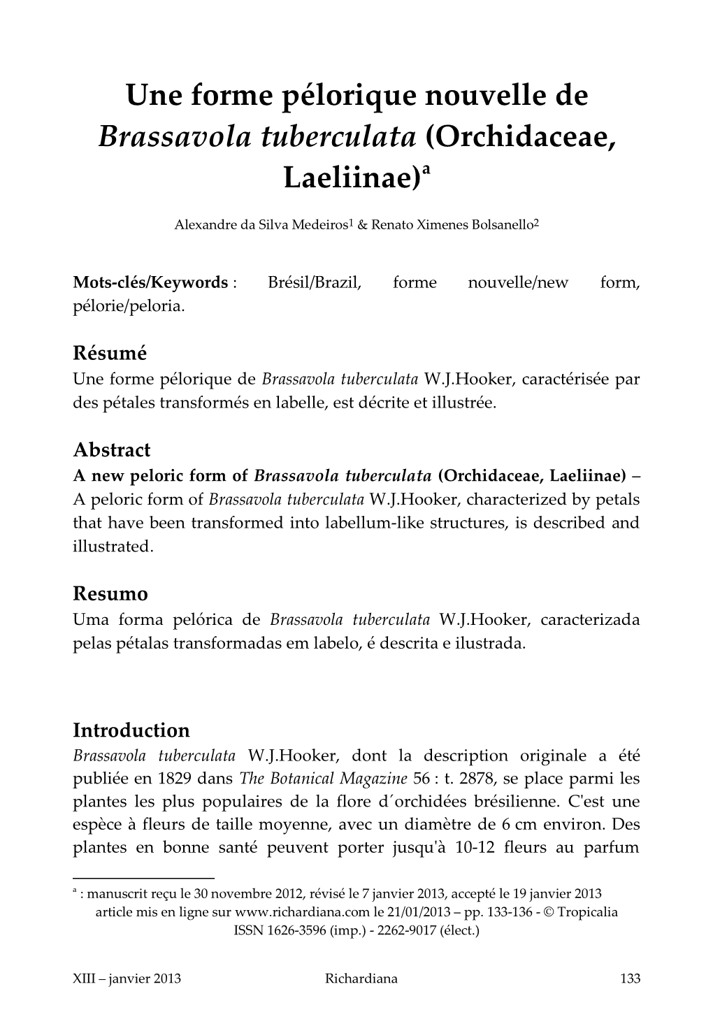 Une Forme Pélorique Nouvelle De Brassavola Tuberculata (Orchidaceae, Laeliinae) A