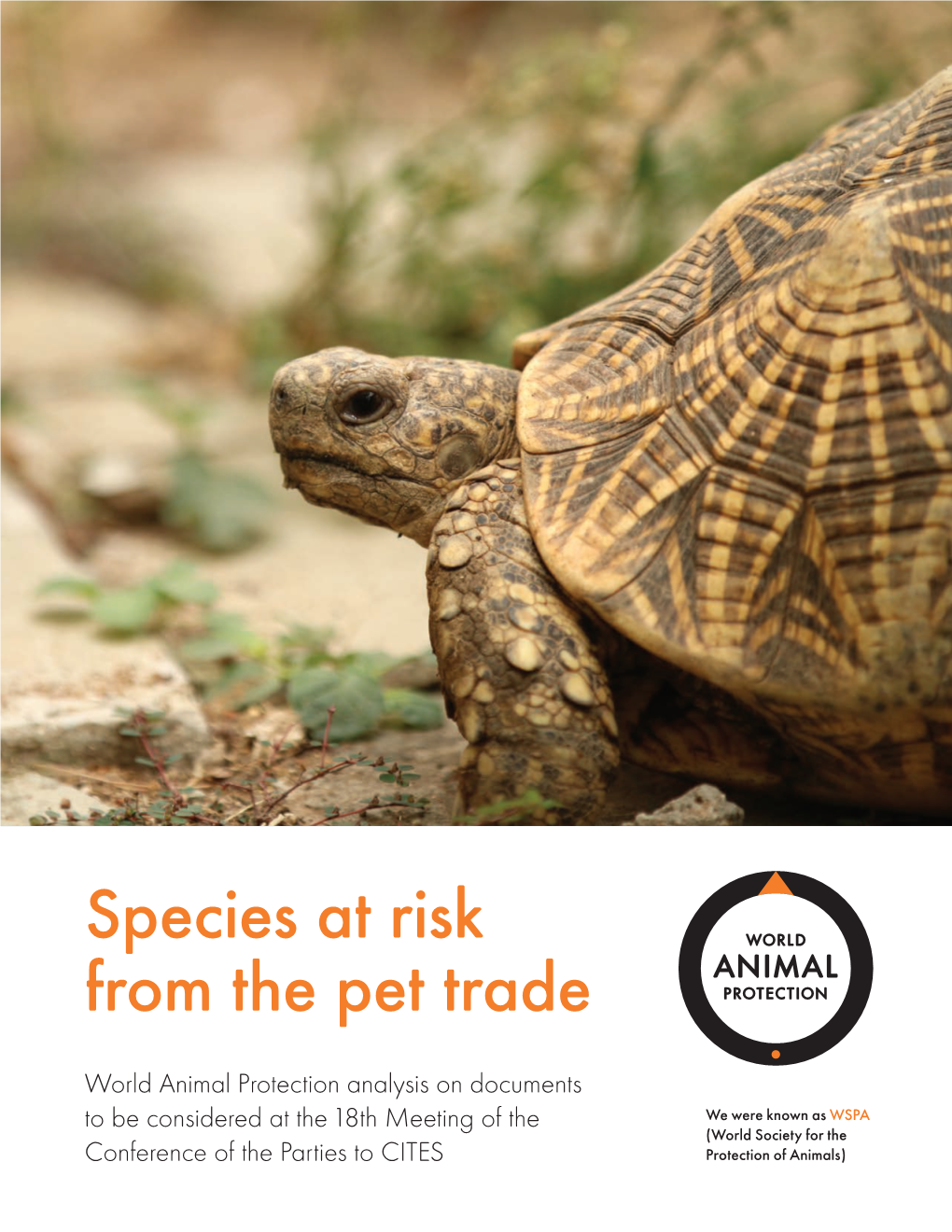 Species at Risk from the Pet Trade