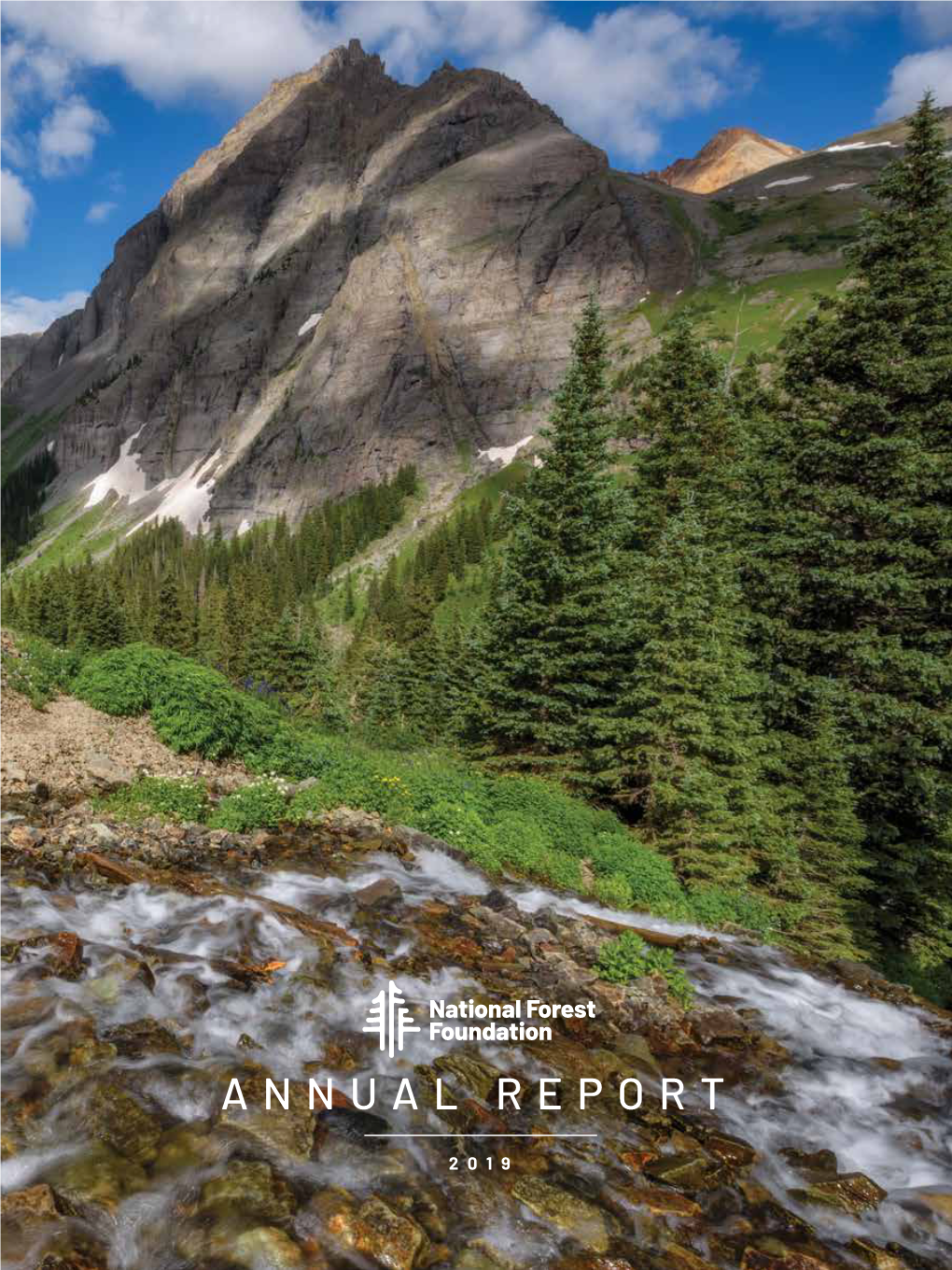 FY2019 Annual Report