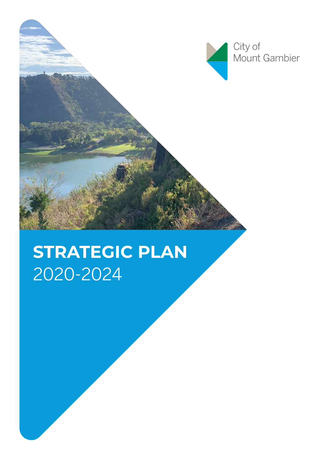 COMG Strategic Plan 2020