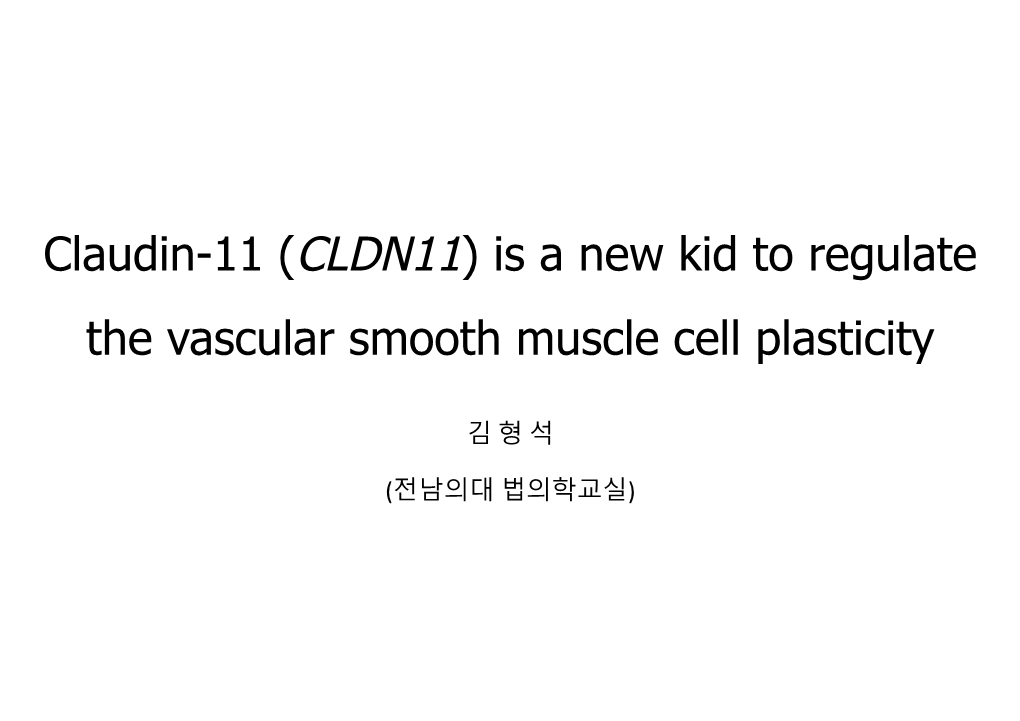 Claudin-11 (CLDN11) Is a New Kid to Regulate the Vascular Smooth Muscle Cell Plasticity