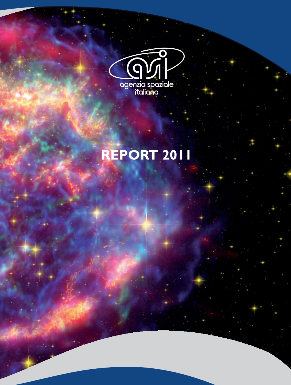 Report ASI 2011